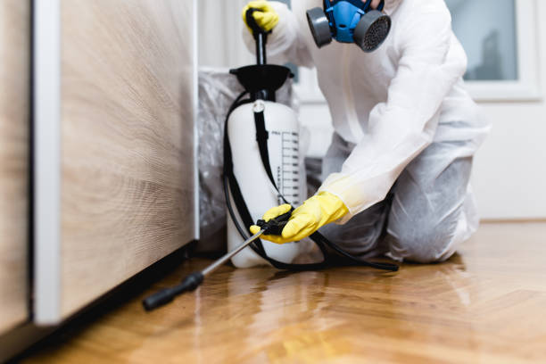 Best Emergency Pest Control  in Comstock Northwest, MI