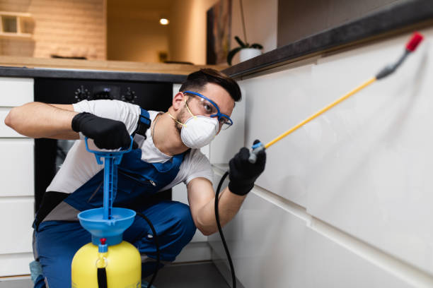Professional Pest Control in Comstock Northwest, MI
