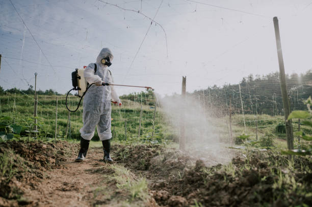 Best Ant Control Services  in Comstock Northwest, MI