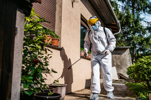 Best Cockroach Control Services  in Comstock Northwest, MI
