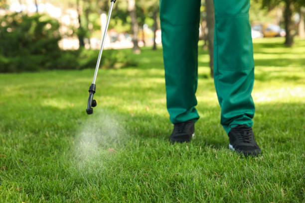 Best Termite Control Services  in Comstock Northwest, MI