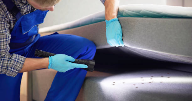 Best Residential Pest Control  in Comstock Northwest, MI