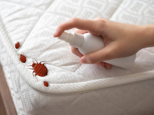 Best Pest Control Treatment  in Comstock Northwest, MI
