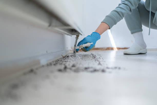 Best Pest Inspection Near Me  in Comstock Northwest, MI